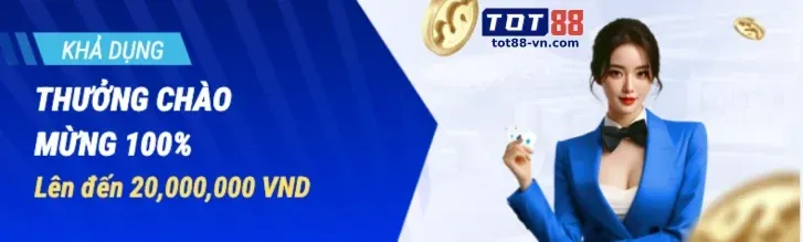 Ưu đãi và chương trình VIP